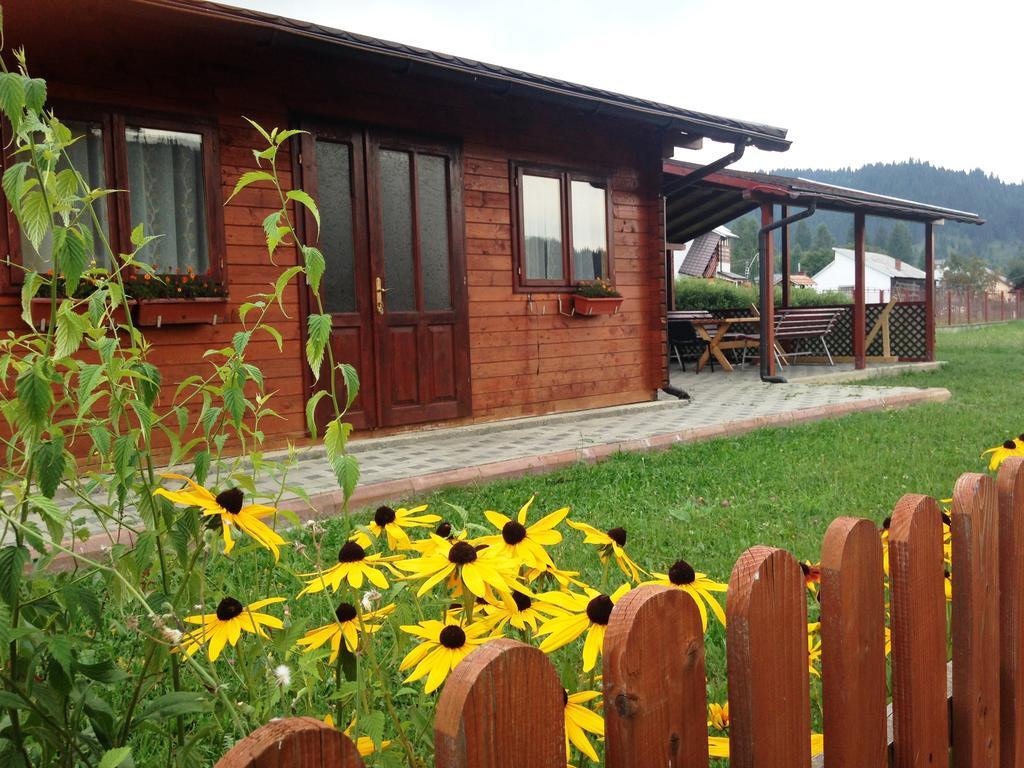 Pensiunea Gentiana Vatra Dornei Esterno foto